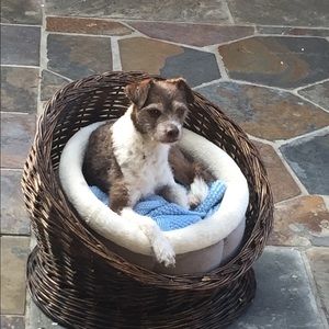 Meet your Posher, Lucy